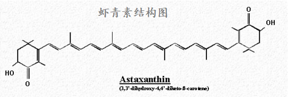 头发干枯毛躁怎么改善发质？发膜和护发素哪个更好一点？