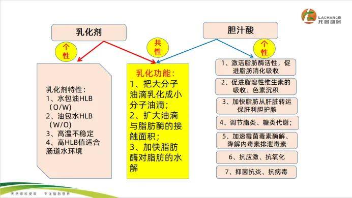 彩票256地址是多少:彩票256地址是多少APP官网下载v3.7.3