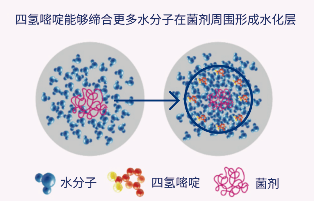 新品眼霜里面有哪些值得入手？分享6款热门平价眼霜，远离智商税